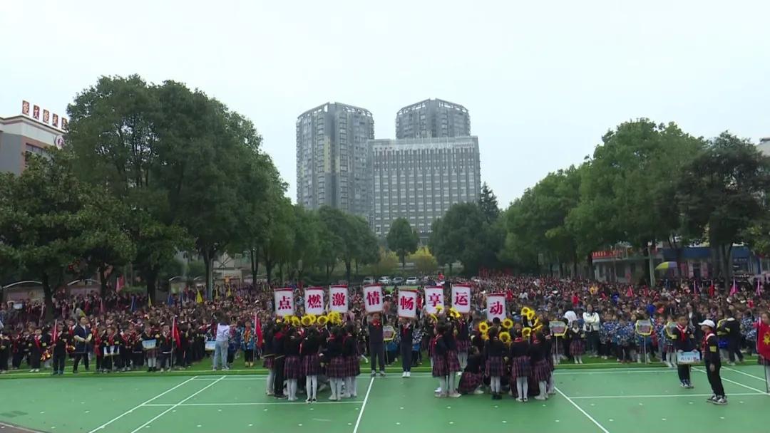 向日葵、比卡丘,嗨翻桐梓这些学校