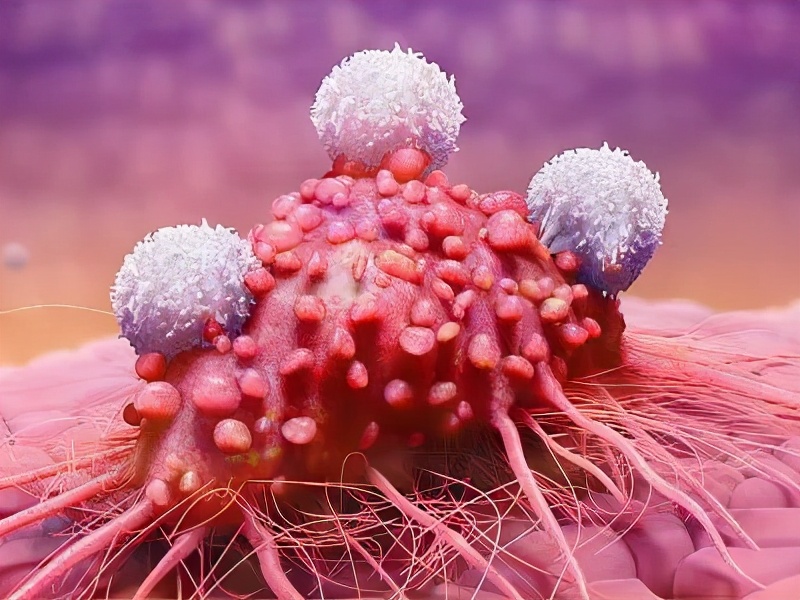 私密处长小疙瘩要用什么药,私密处长个小疙瘩用什么药膏