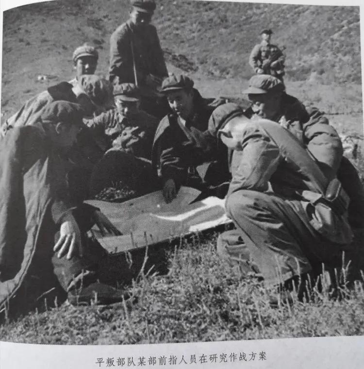 杨星火采访完整视频,杨星火电视剧全集