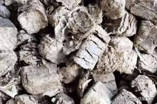 利润很吓人10个冷门农村创业项目,55到65岁在农村能创业什么项目