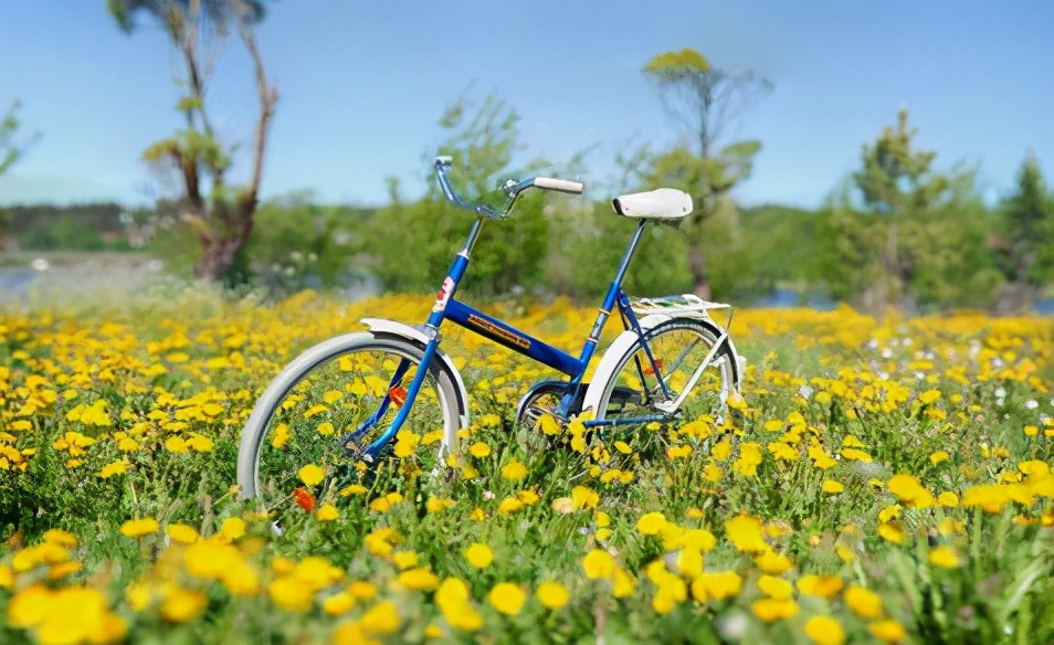 自律的人都戒掉九件事,自律的人必须戒掉哪些事