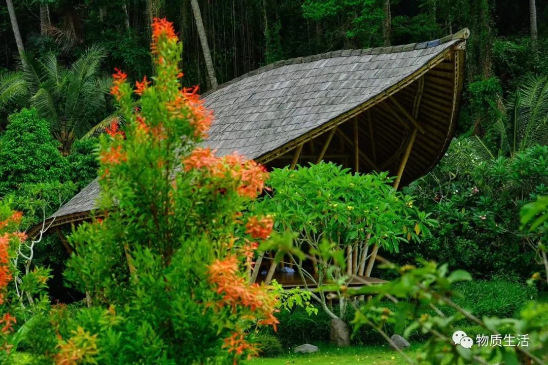 巴厘岛四季如夏吗,阳光明媚的巴厘岛