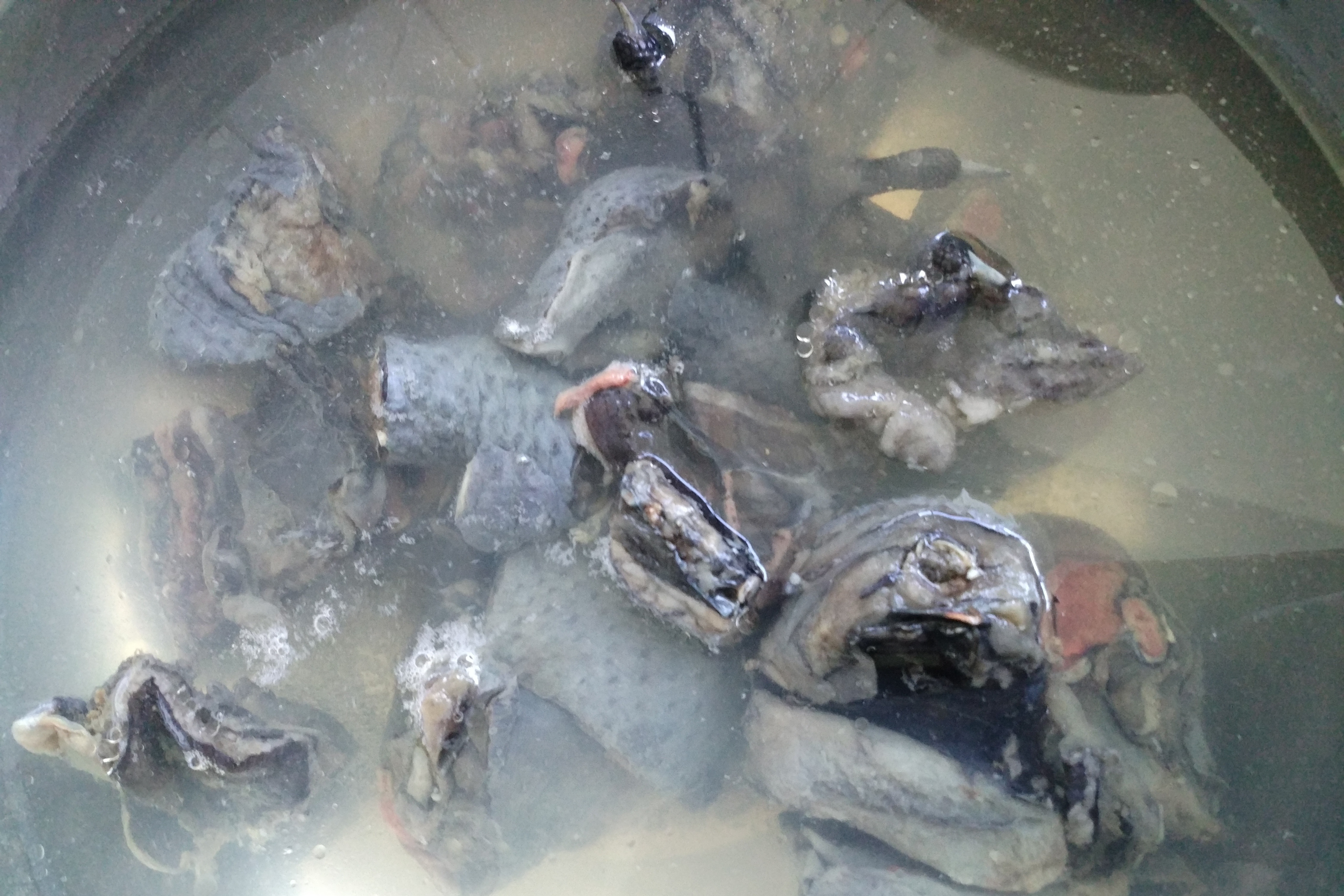 春季喝这几款养生汤滋补益气,缓解秋燥两道清补靓汤赶紧煲起来