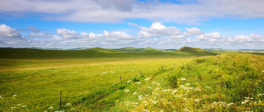 风吹草低见牛羊的呼伦贝尔大草原,风吹草低见牛羊大草原的视频