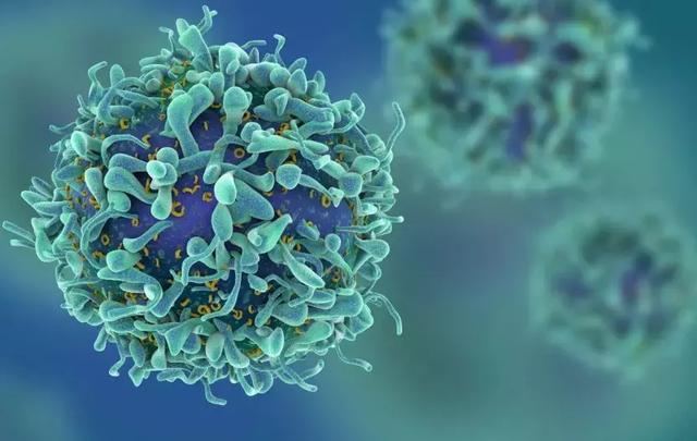 以色列治癌症几率多高,以色列癌症突破消息真假