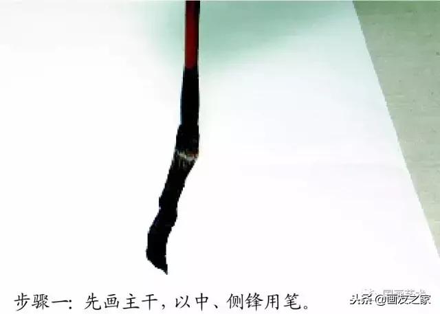 董寿平国画梅花老树干的画法,国画梅花花瓣的画法视频教程