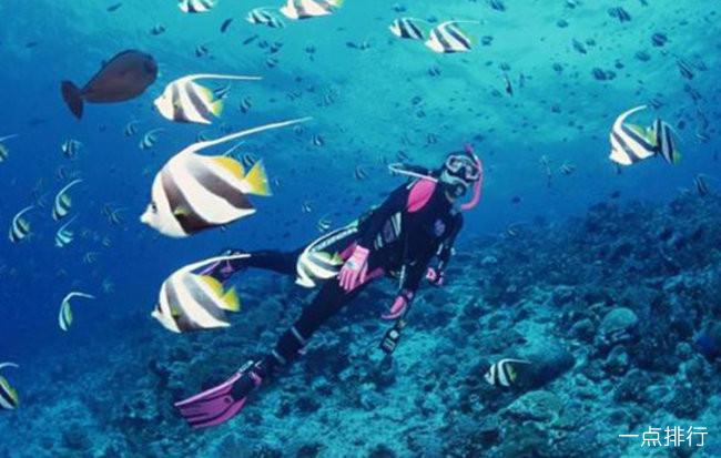 鼓浪屿日光岩观看鼓浪屿视频,鼓浪屿日光岩门票鼓浪屿联票