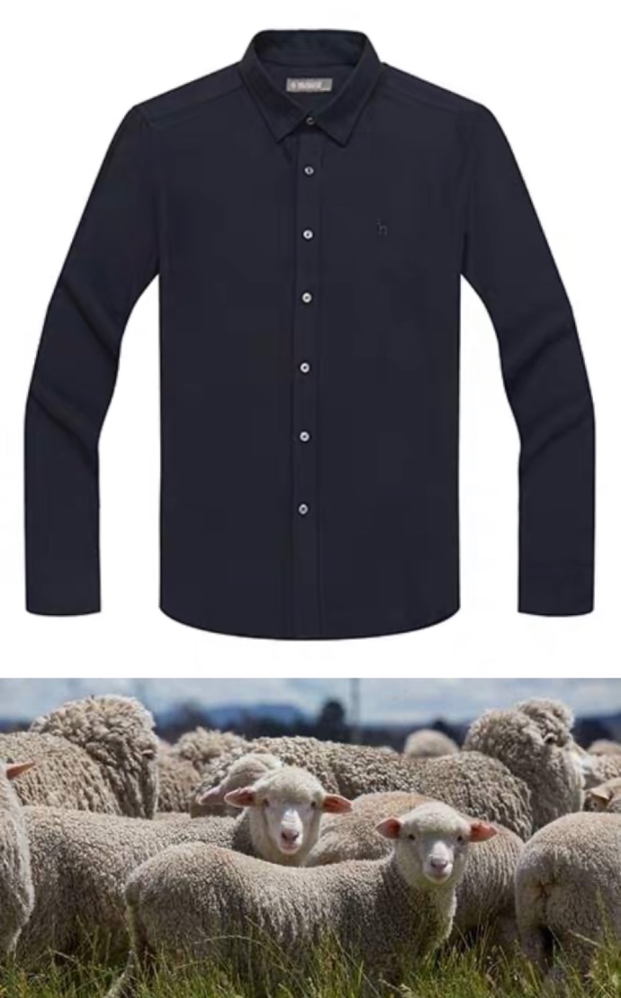 上班族如何挑选衬衫,上班族怎么挑选衬衫