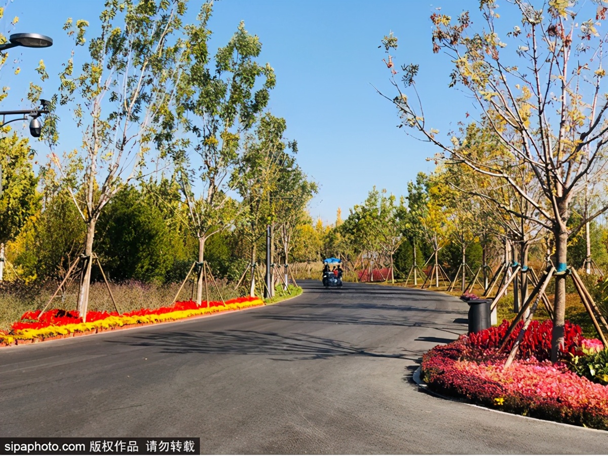 北京网红公园打卡地,北京拍照打卡森林公园