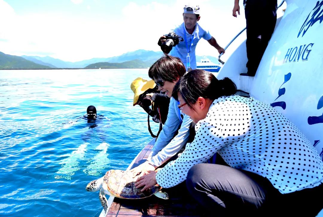 非法出售海砂定罪,非法交易乌龟案