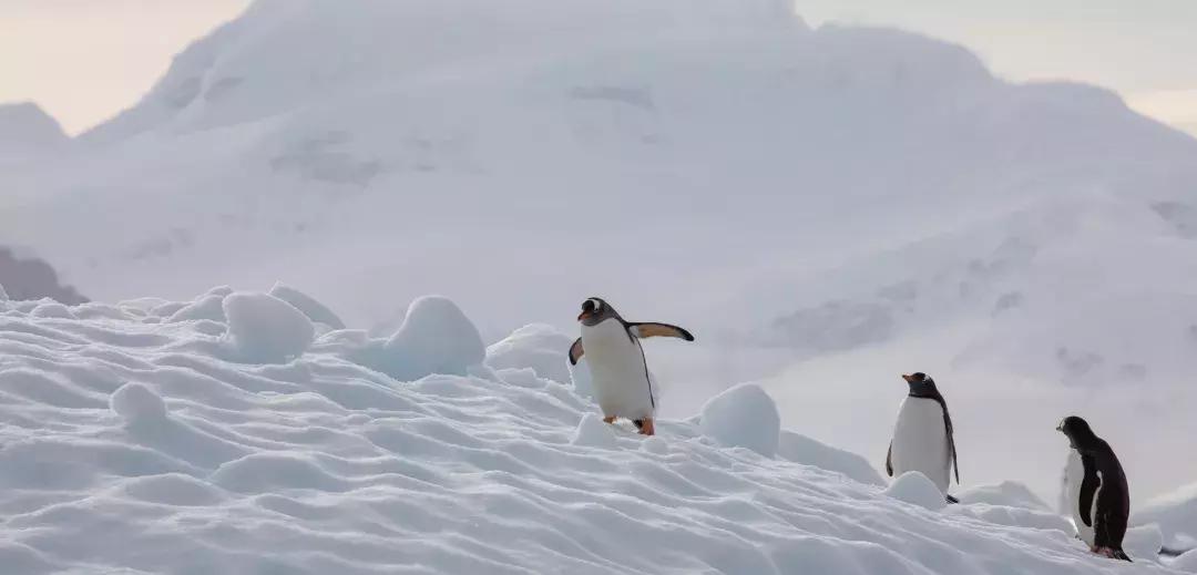 皮艇上漂流,皮筏艇海上