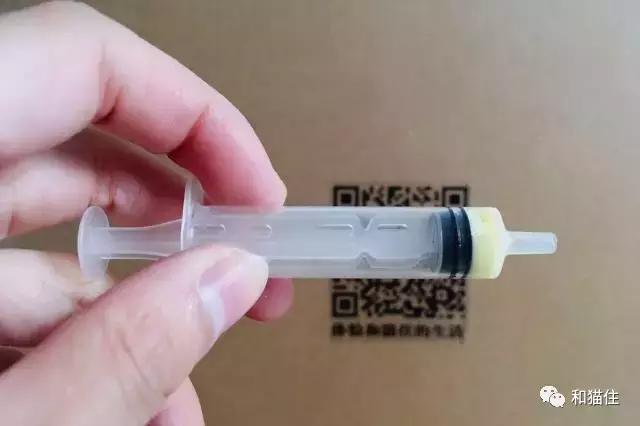 猫咪呕吐拉稀去医院治疗没有好转,猫咪呕吐不要着急