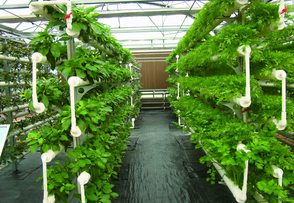 廊坊4A5A景区,廊坊4a级景区名单