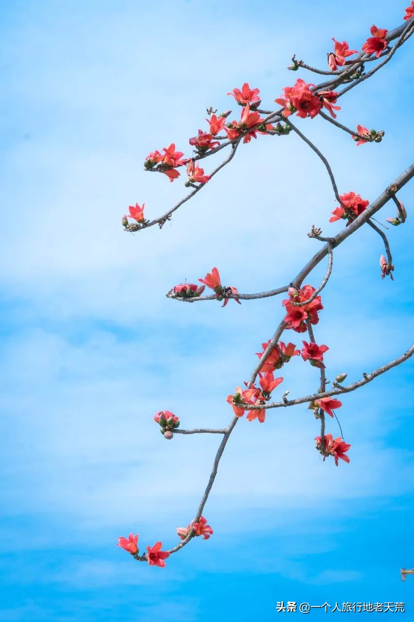有生之年一定要去四川吗,年轻时不能去四川吗