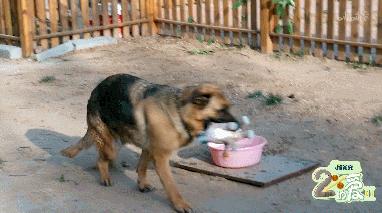 b站必看的综艺,b站能看的综艺推荐