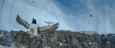 豆瓣9.8分悬疑大片,窥探电视剧豆瓣评分