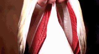 在合肥也能吃到地道的重口味,合肥好吃的鱼头1912