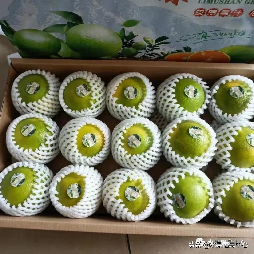 最好的橙子产地在哪里,中国橙子产地排名