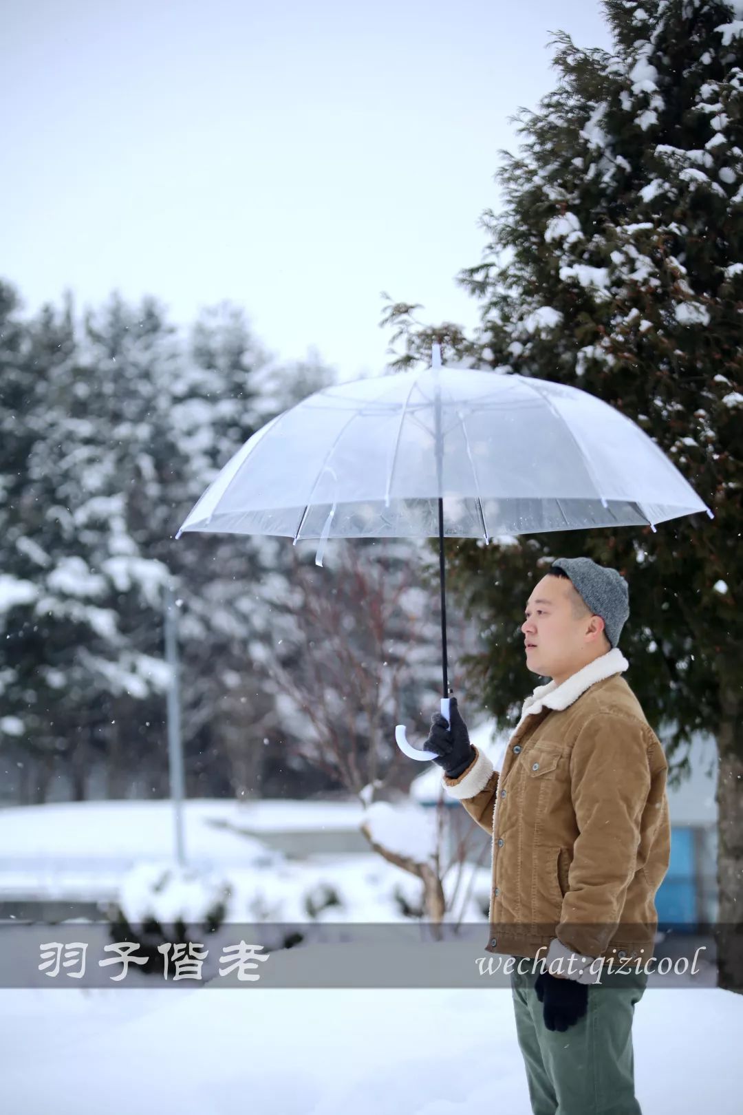 不会日语日本自由行好吗,不会日语的北海道自由行攻略