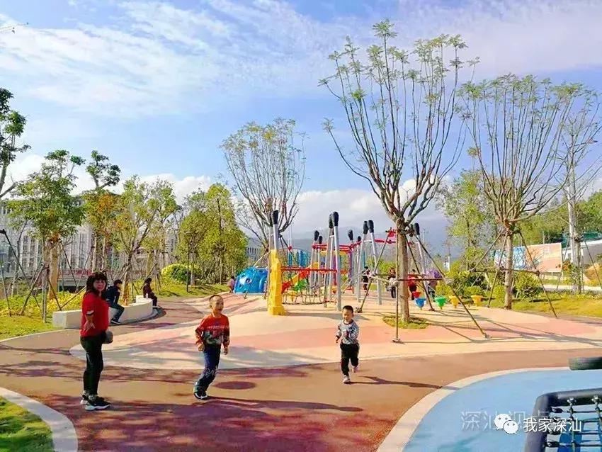 深圳经济特区的生日,深圳经济特区生日快乐