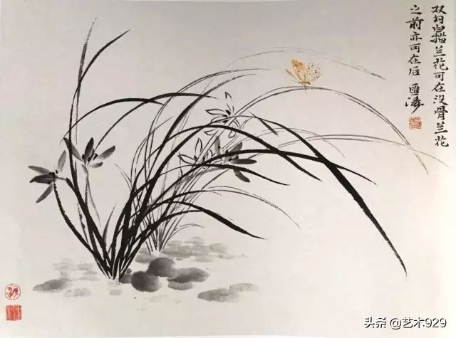 国画兰花的画法太棒了简单易学,泰国兰花绘画技法