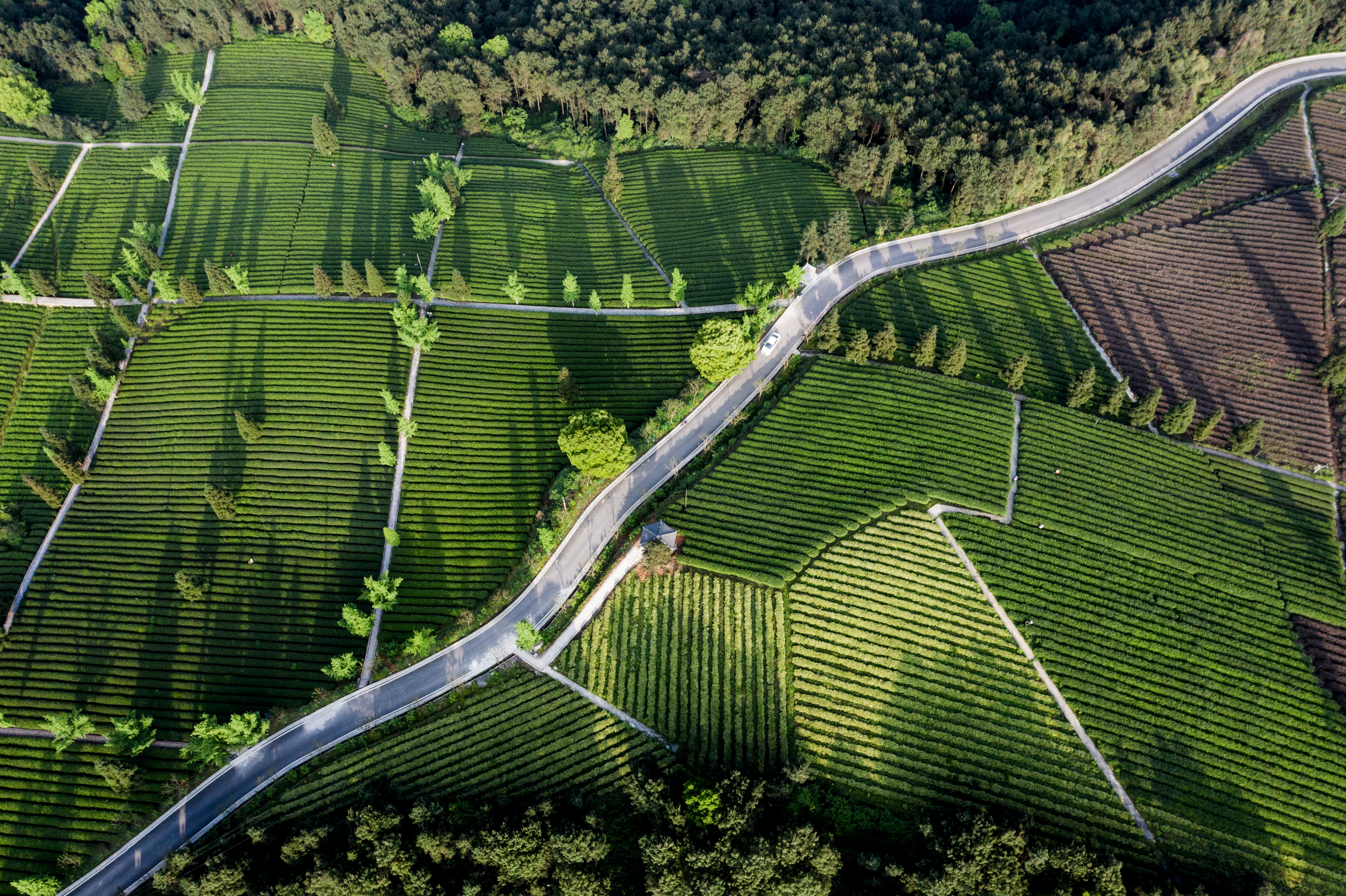 亲近自然听风听雨,亲近大自然聆听虫鸣鸟叫