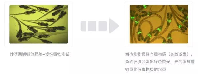 你们的*福性**危险了！24款安全套有2款急性毒超标或有损生殖能力