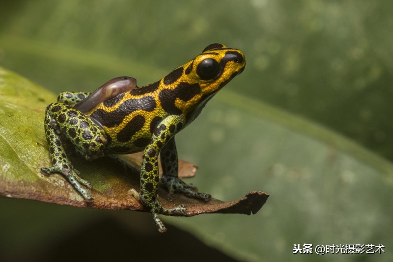 欣赏国际摄影大师作品,英国皇家天文摄影大赛