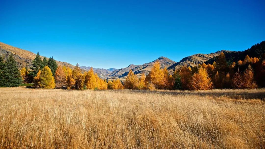央视祖国大好河山常用的背景音乐,经典的背景音乐央视