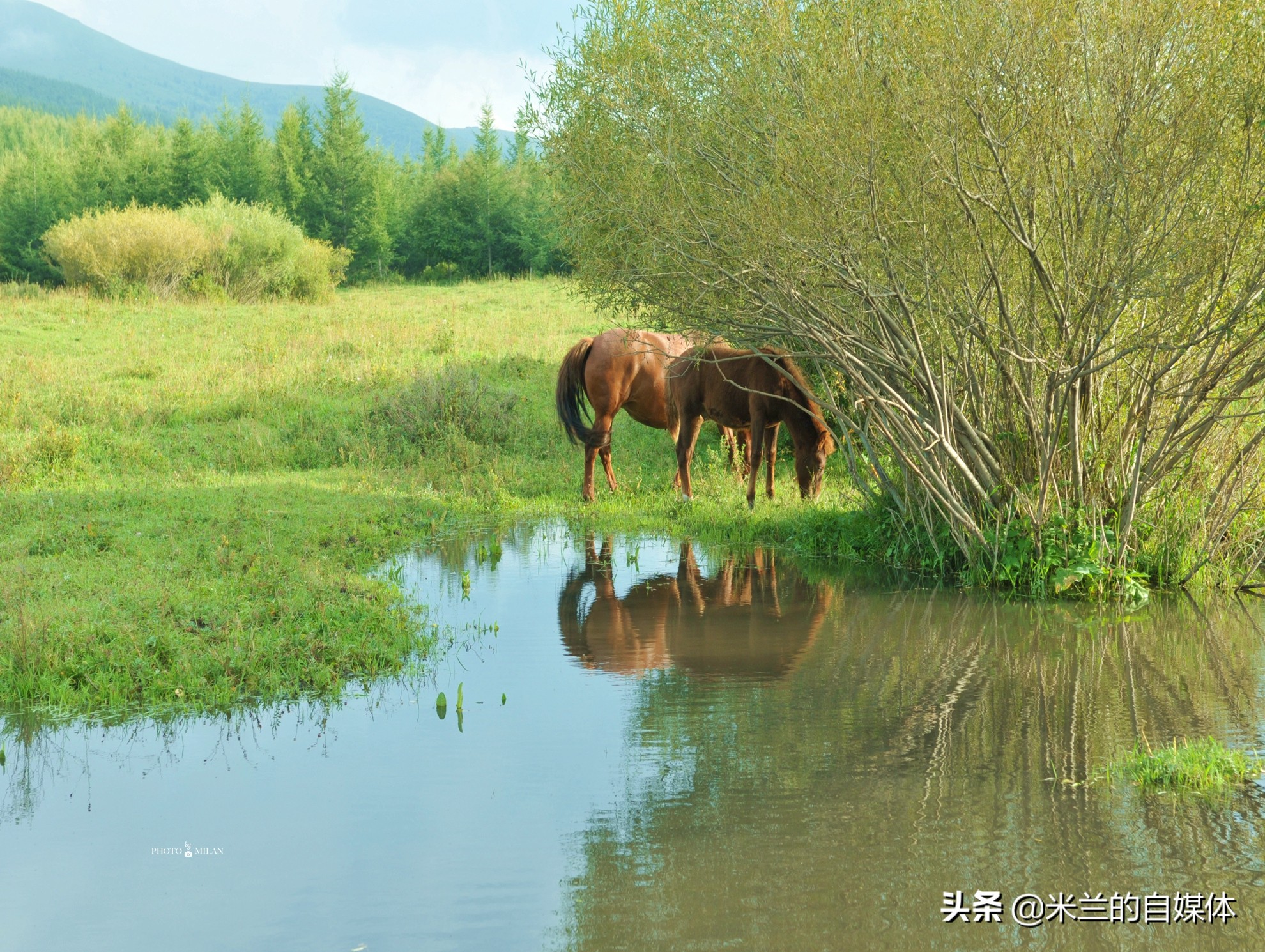 北京周边二日自驾游最佳路线图,北京周边自驾游两天一夜攻略草原