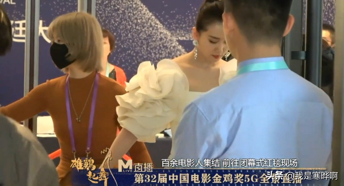 金鸡奖袁泉造型,赵薇金鸡奖视频完整版