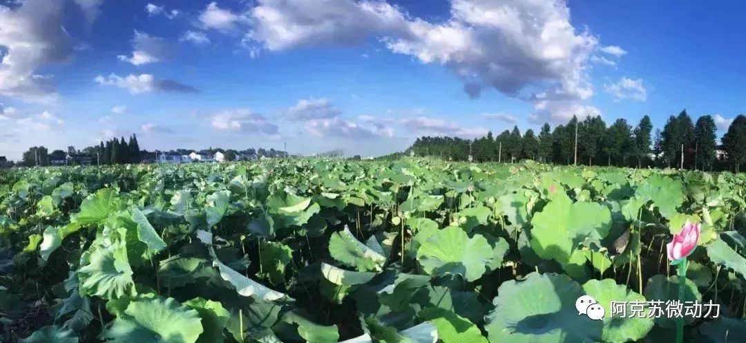 阿克苏在新疆的经济排名,阿克苏最强的县