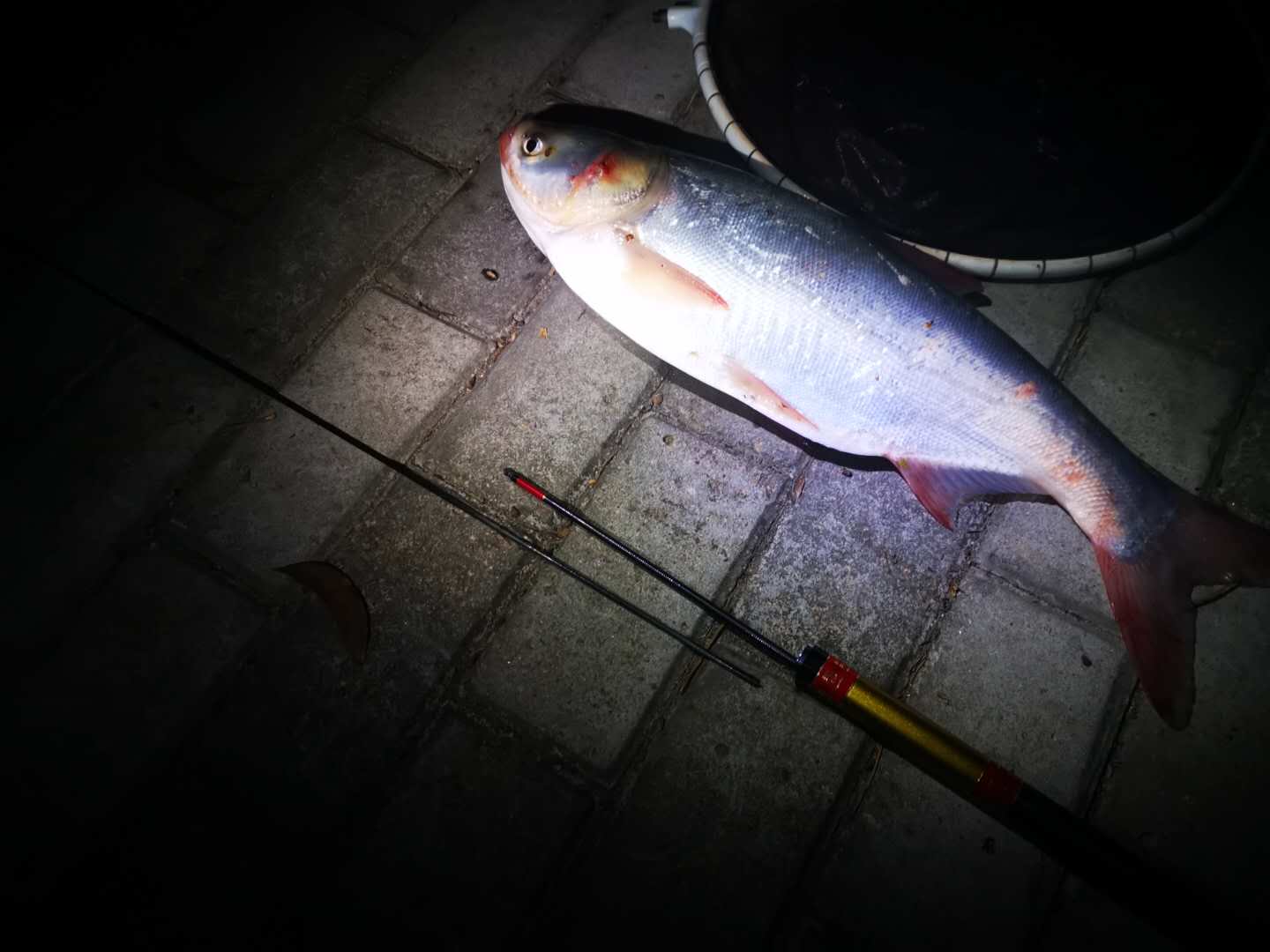 钓鱼在什么情况下爆竿,钓大鱼怎么避免爆竿