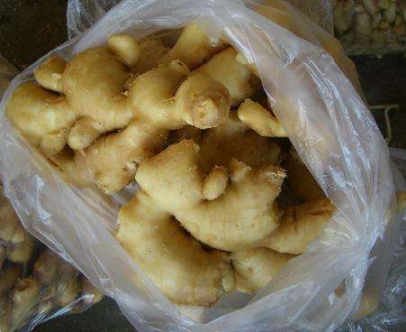 超实用的生姜保存方法,原来保存生姜这么简单