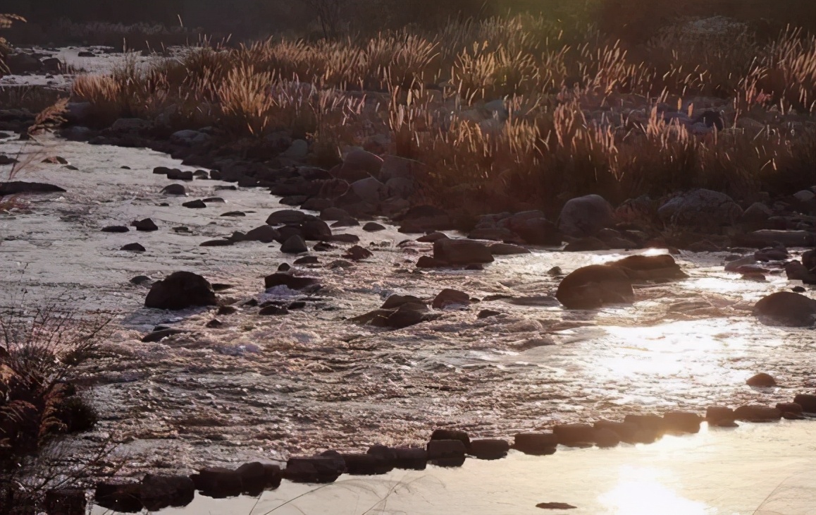 永嘉楠溪江民宿推荐,永嘉楠溪江民宿推荐10人左右整栋