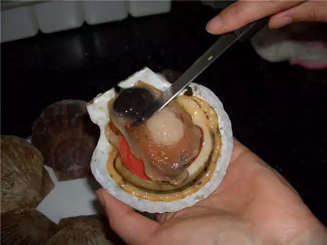 人人都能看懂的威海海鲜攻略,威海海鲜什么时候最好吃