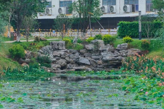 深圳免费公园哪里最好啊,深圳十大免费公园景点大全