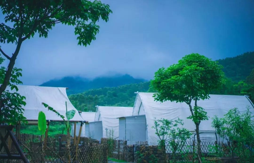 广州周边民宿深山老林,广州附近绝美民宿