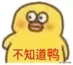 那些年被“0号胶囊”残害的菊花……