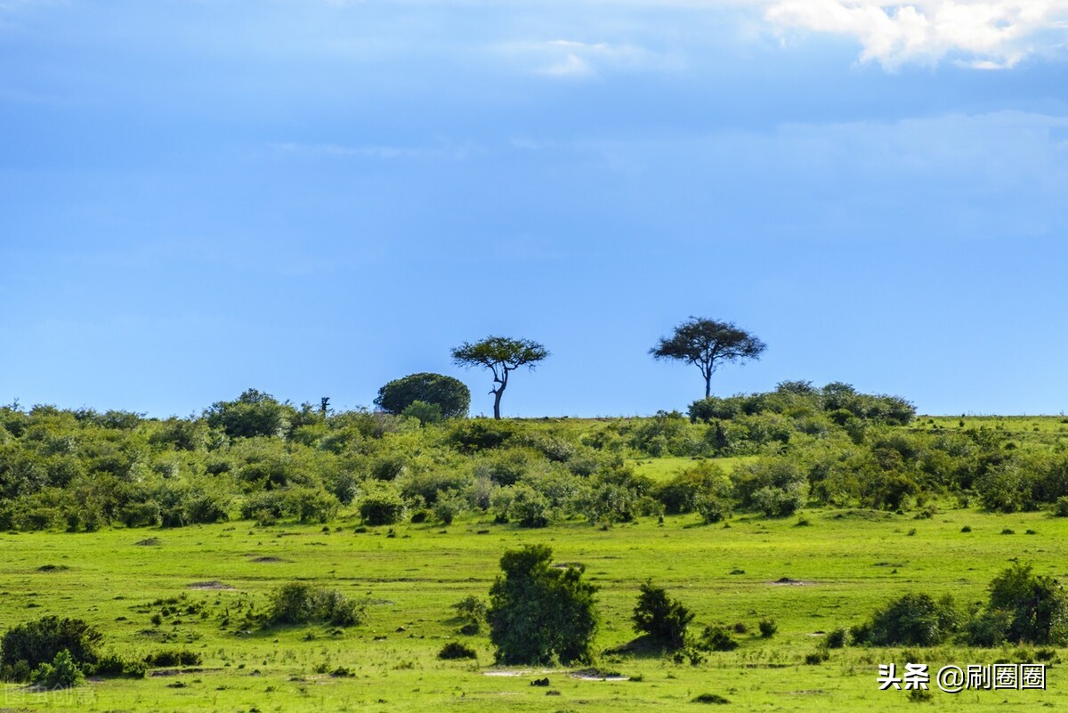 六年级作文一单元变形记范文,六上第一单元作文变形记优秀范文