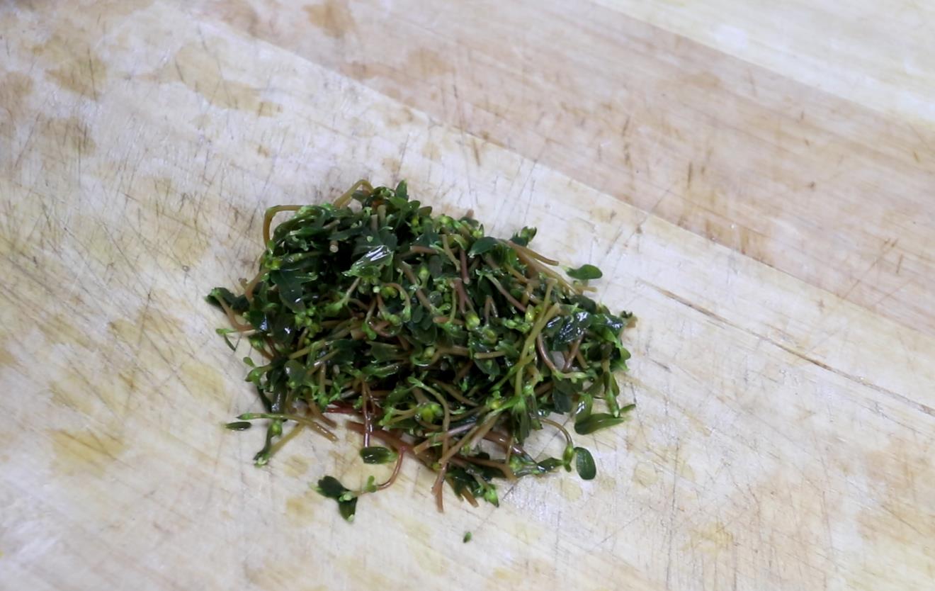 痔疮犯了吃什么下火的中药,治疗痔疮的野菜叫什么菜