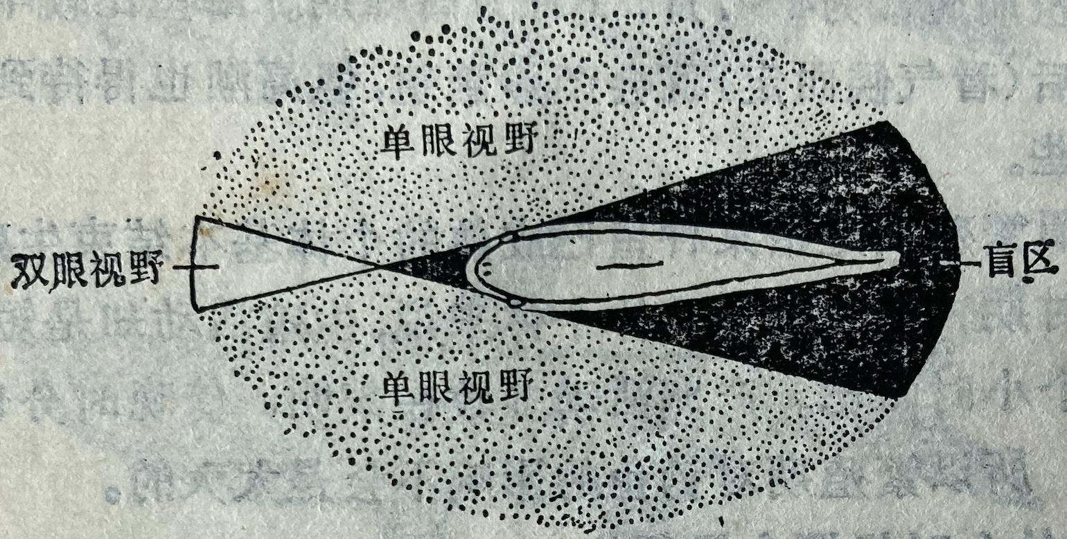鱼的正确钓法和技巧,鱼入门基础知识