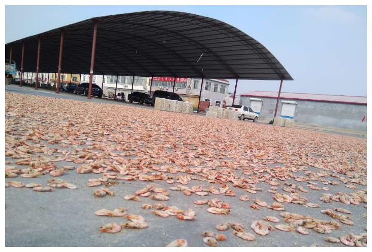 晒虾米，一场成就极鲜之味的狂欢