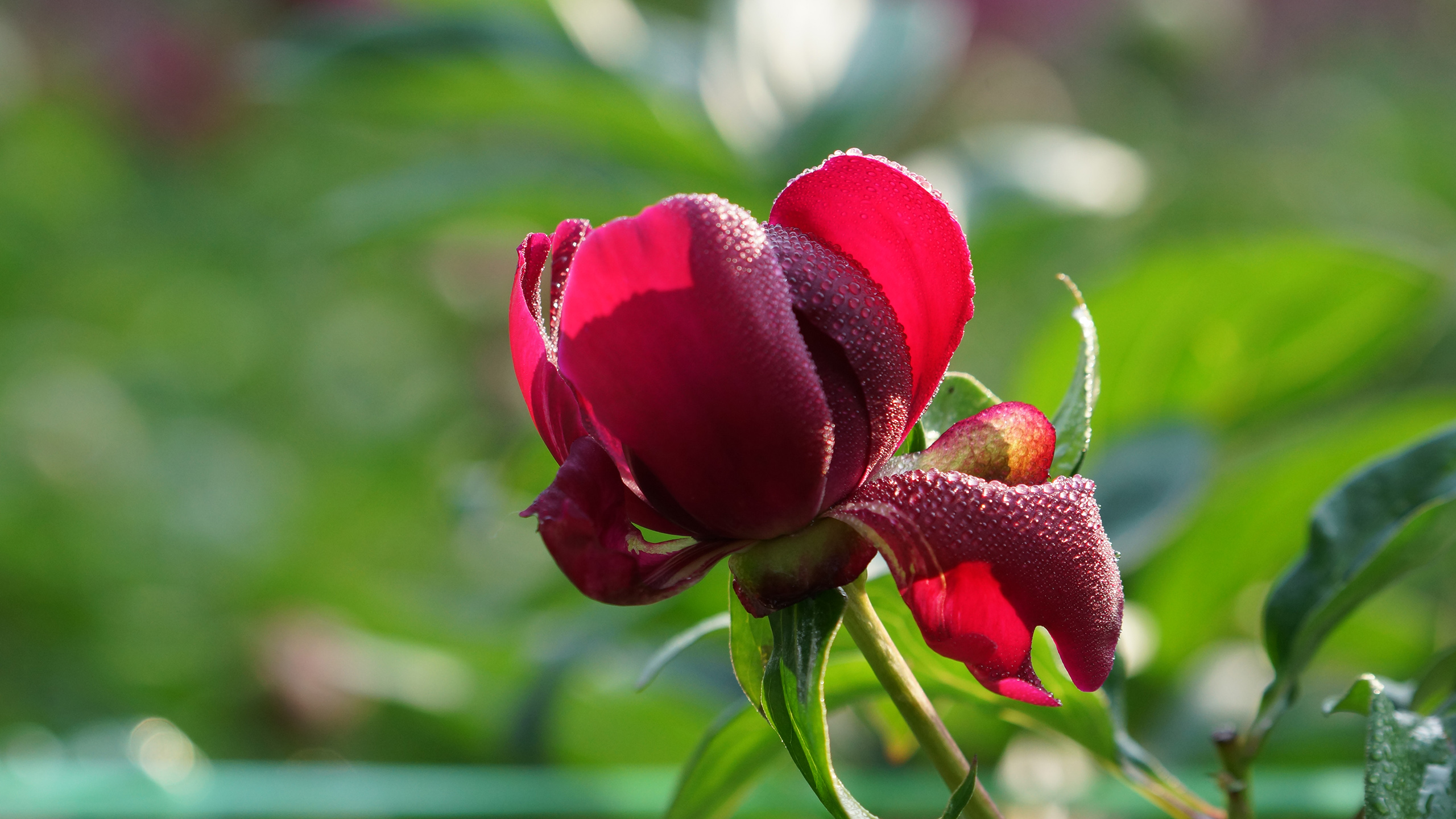 预估帖：山东大学2020年金融学考研分数线与报录比