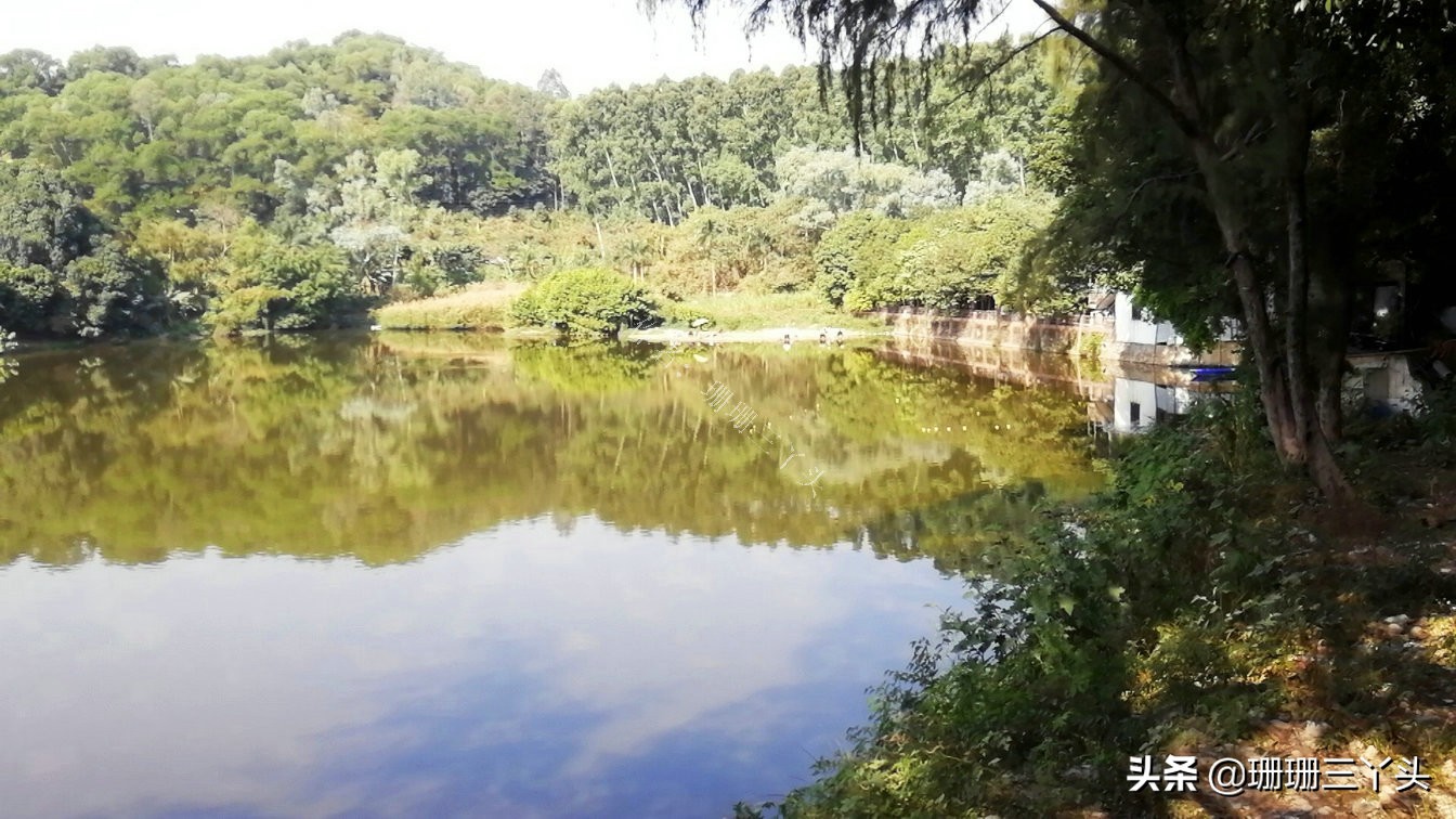 广州有座山,广州有和武功山差不多的山