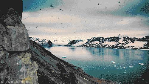 狄马带你看南极|准备好了吗？给你最真实的南极体验