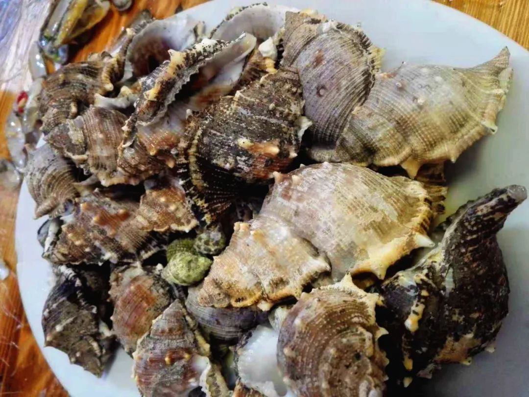 珠海出发外伶仃岛一日游最佳路线,珠海外伶仃岛自由行攻略