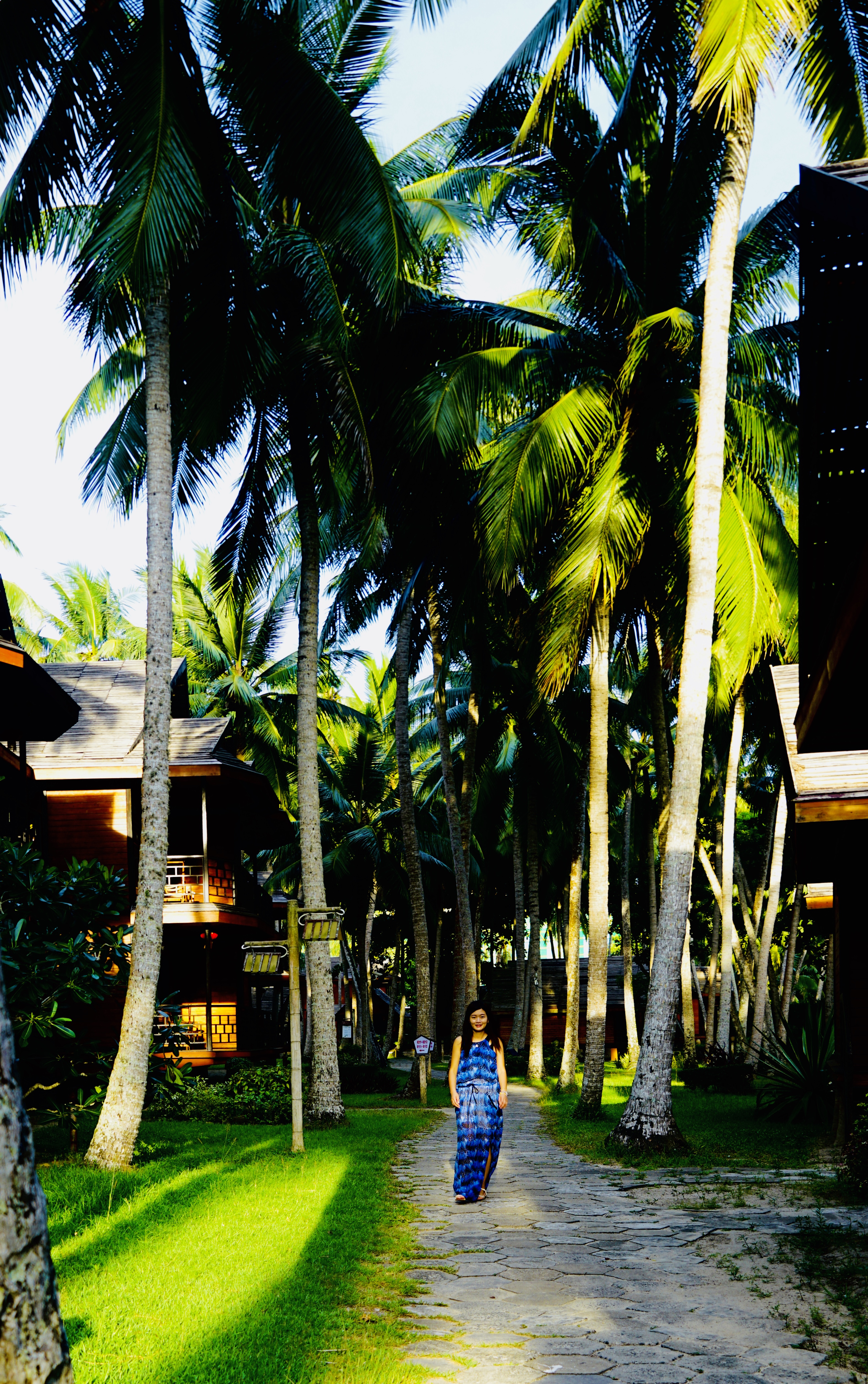 游海南赏椰风海韵,海南东郊椰林值得去吗