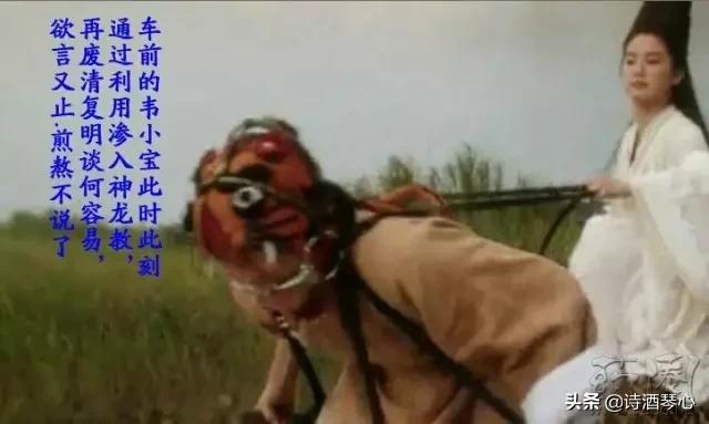 每天最少学一味中药苦参,每天最少学一味中药川乌