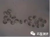 测评雅诗兰黛小棕瓶,雅诗兰黛小棕瓶第5代眼霜测评